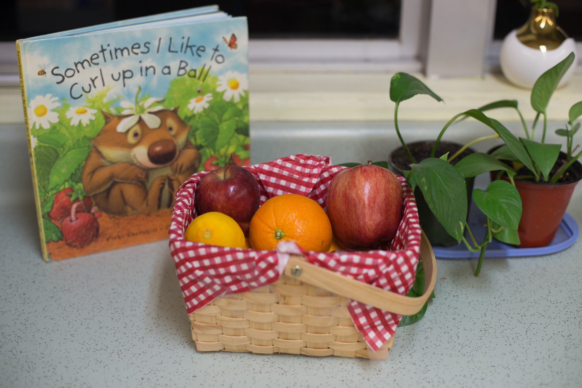 Book and fruits